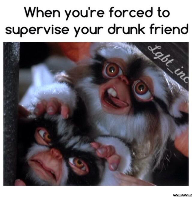 funny drunk people memes 1055466 funny drunk people memes