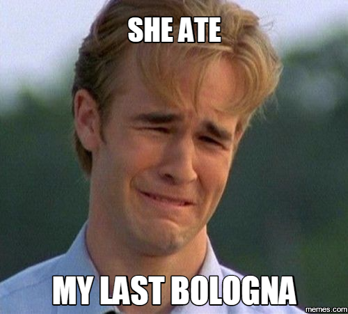 home memes com 1082763 home memes com,Bologna Meme