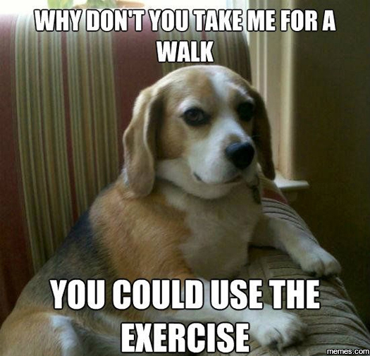Image result for why don't you take me for a walk meme