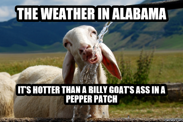 home memes com 1118090 home memes com,Billy Goat Meme