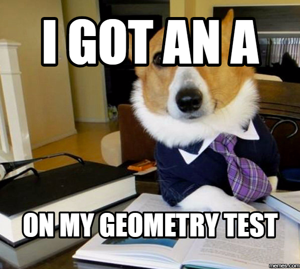 lawyer dog hilarious pictures with captions 1296916 lawyer dog hilarious pictures with captions,Geometry Memes