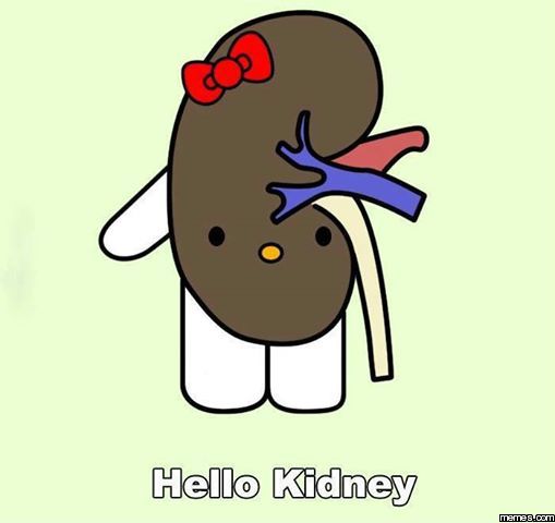Image result for kidney meme