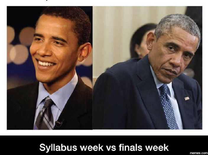 Image result for syllabus week meme