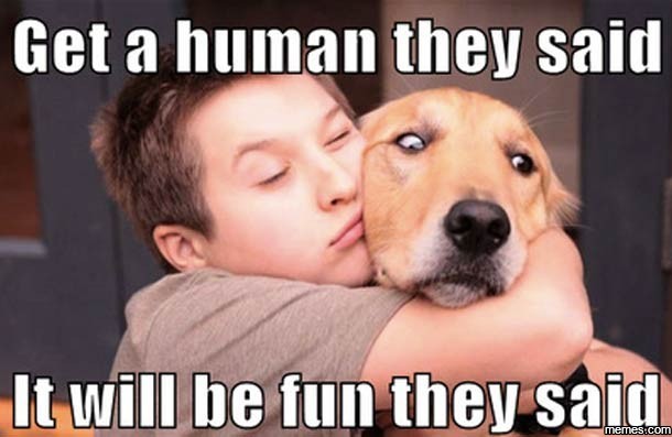 Image result for get a human they said meme