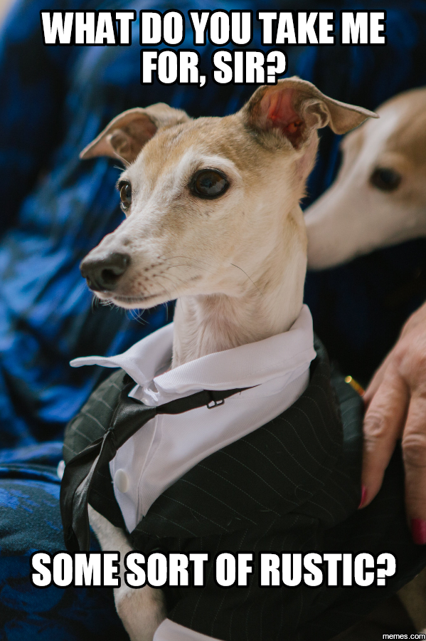 What do you take me for, sir? Some sort of rustic?