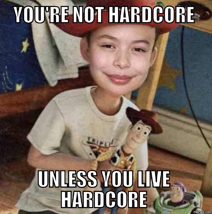 You Re Not Hardcore 13