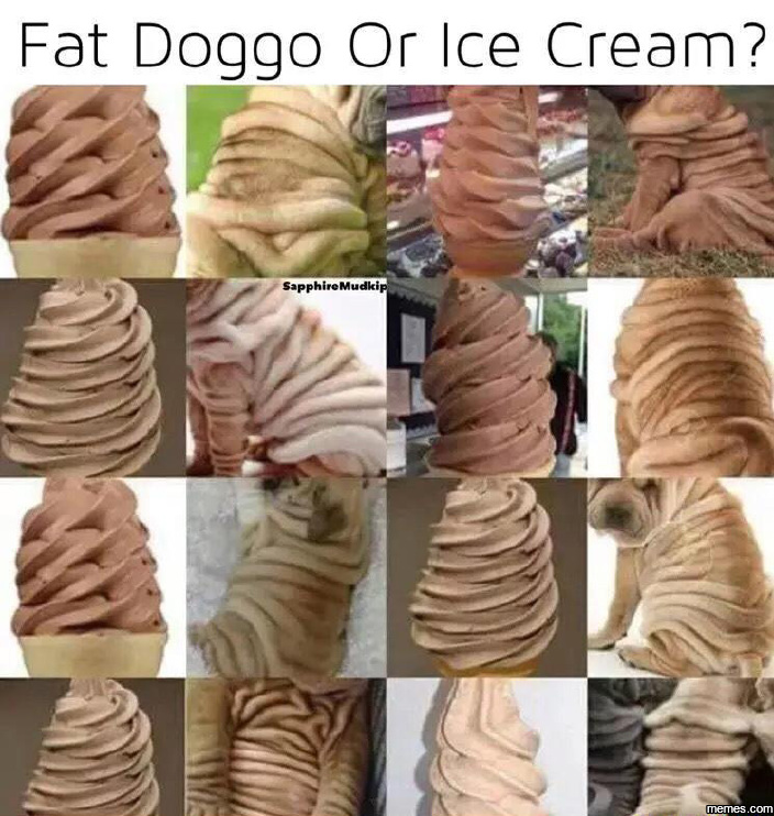 Best Fat Free Ice Cream 66