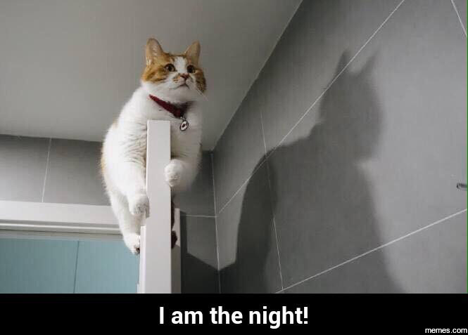 I am the night