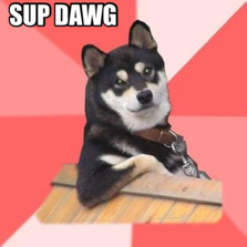 cool dog hilarious pictures with captions 1082377 cool dog hilarious pictures with captions,Sup Dawg Meme
