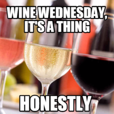 memes com carol goese user uploads 1151656 memes com carol goese user uploads,Wine Wednesday Meme