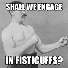 Image result for fisticuffs meme