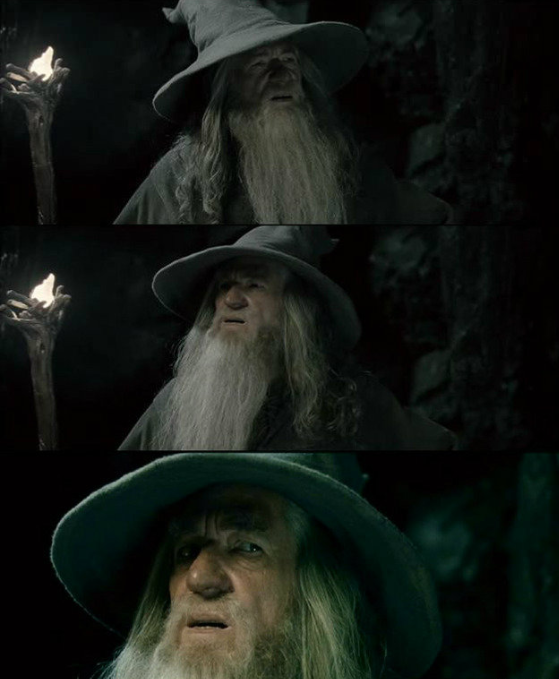 Confused Gandalf | Hilarious pictures with captions