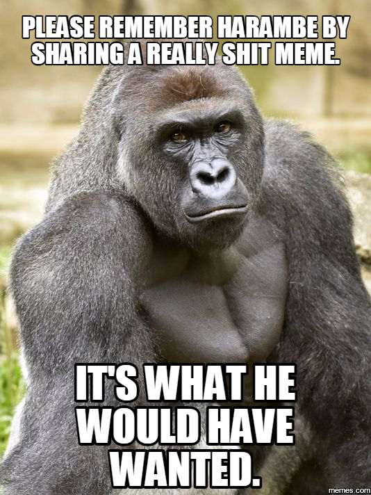 Zoo: Stop making memes of our dead gorilla...AKA the real life victory ...