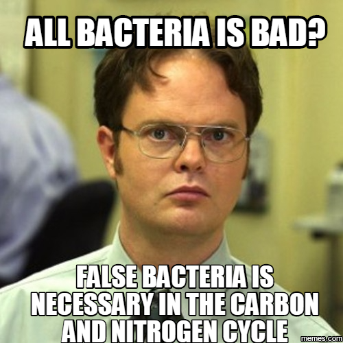 Nitrogen Cycle Memes