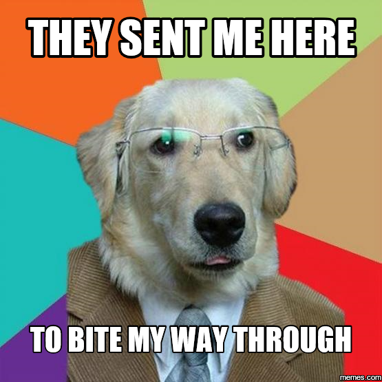 Memes.com