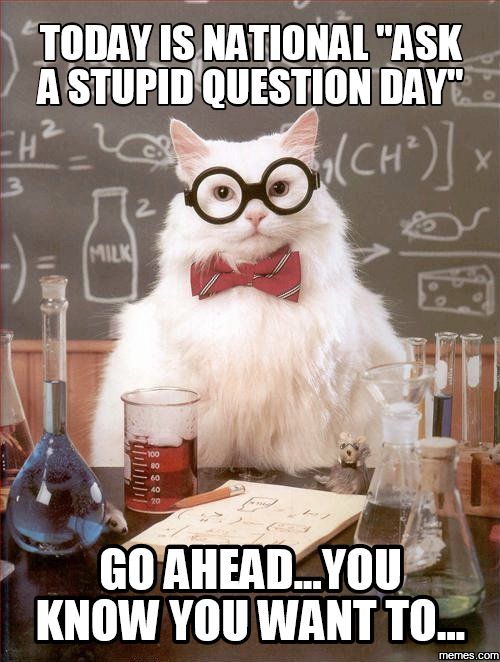 Today is national “ask a stupid question day” Go ahead… – Site Title