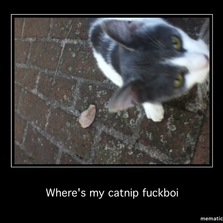 Funniest meme pictures, create the best memes