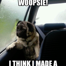 Introspective Pug | Hilarious pictures with captions