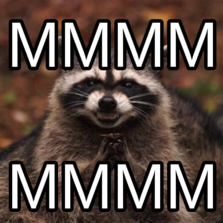 Evil Plotting Raccoon | Hilarious pictures with captions