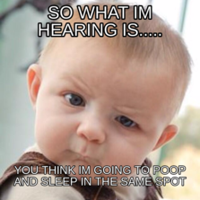 so what im hearing is..... you think im going to poop and sleep in the ...